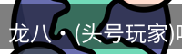 龙八头号玩家官网